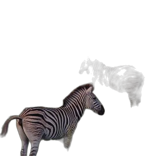 animal, creature, dragon, hair transparent PNG cut-out