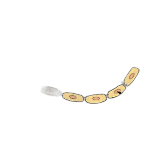 food, jewelry, staff, weapon transparent PNG cut-out
