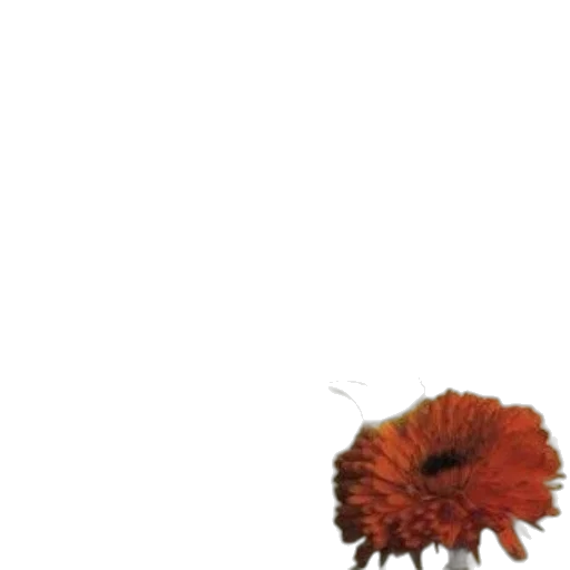 flower, hair, crown, weapon transparent PNG cut-out