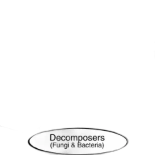 concept art, monochrome, black, white transparent PNG cut-out