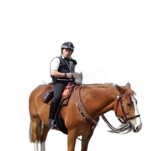 staff, animal, jacket, weapon transparent PNG cut-out