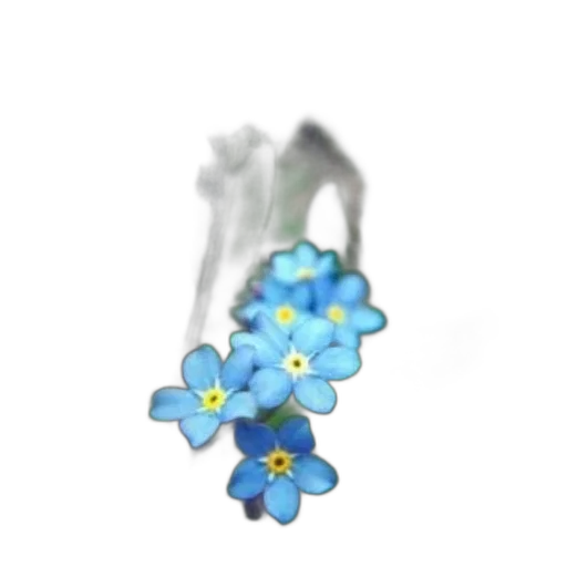 flower, jewelry, crown, staff transparent PNG cut-out