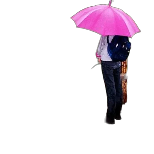 umbrella, jacket, staff, hat transparent PNG cut-out