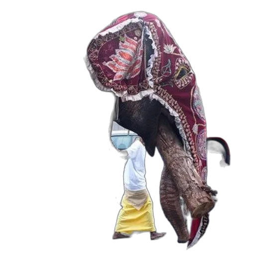 mask, creature, dragon, animal transparent PNG cut-out