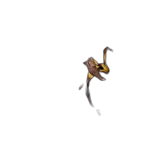 staff, creature, animal, weapon transparent PNG cut-out