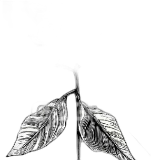staff, sword, umbrella, tree transparent PNG cut-out