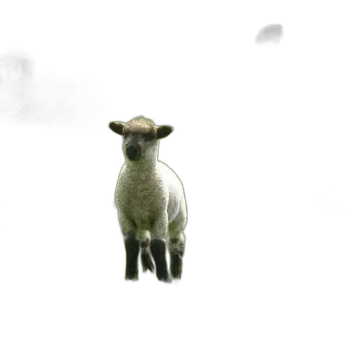 animal, creature, weapon, staff transparent PNG cut-out