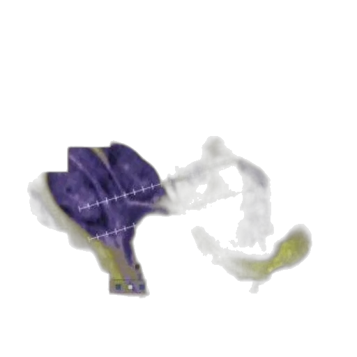 shoes, weapon, mask, robot transparent PNG cut-out