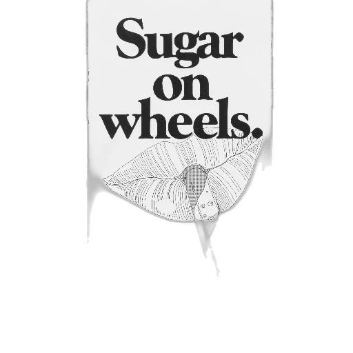 car, food, jewelry, weapon transparent PNG cut-out