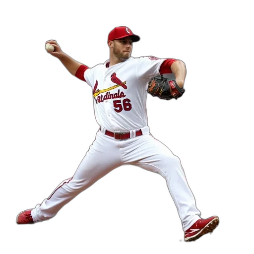 animal, cardinals, pitcher, matt transparent PNG cut-out