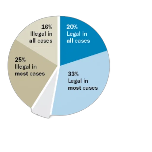 pie, chart, shows, percentage transparent PNG cut-out