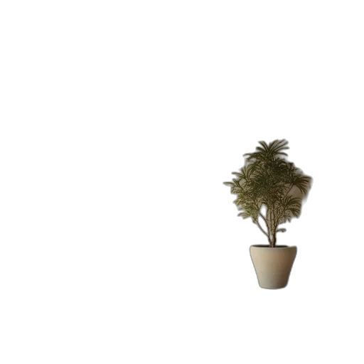 tree, crown, flower, furniture transparent PNG cut-out