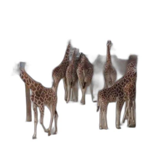 animal, creature, staff, crown transparent PNG cut-out