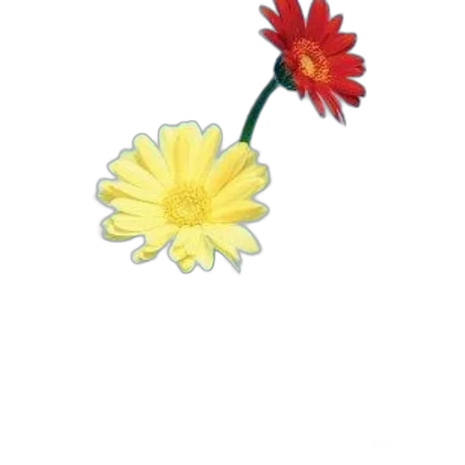 flower, staff, crown, weapon transparent PNG cut-out