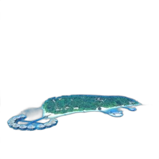 bottle, creature, animal, shoes transparent PNG cut-out