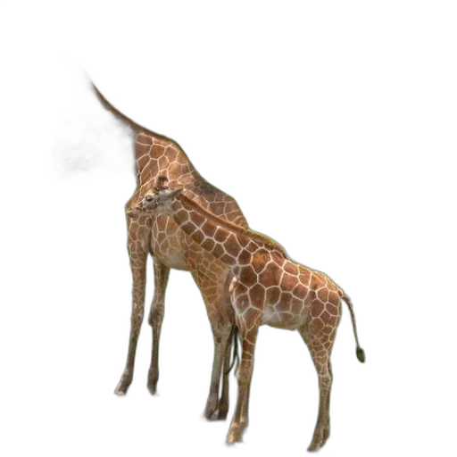 animal, creature, staff, dragon transparent PNG cut-out