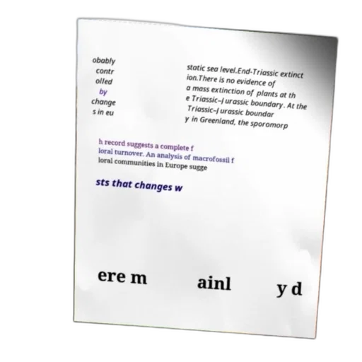 crown, hair, 3d render, text-based transparent PNG cut-out