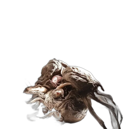 hair, mask, creature, food transparent PNG cut-out
