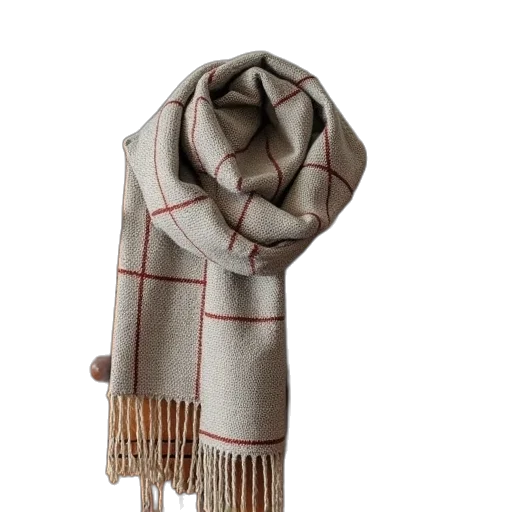 jacket, woven, checker, scarf transparent PNG cut-out