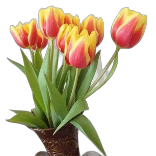 flower, crown, staff, photorealistic transparent PNG cut-out