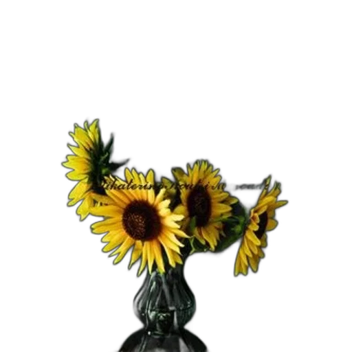 flower, jewelry, crown, staff transparent PNG cut-out