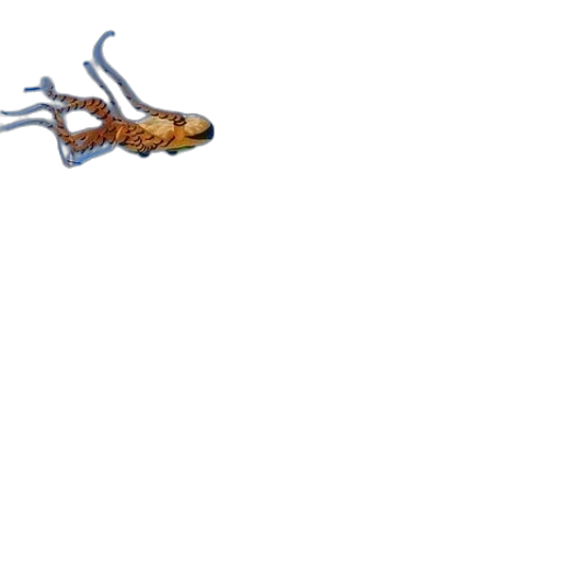 creature, animal, dragon, hair transparent PNG cut-out