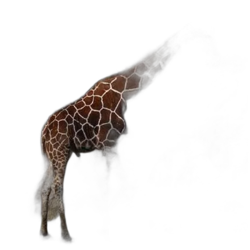 animal, creature, staff, hair transparent PNG cut-out