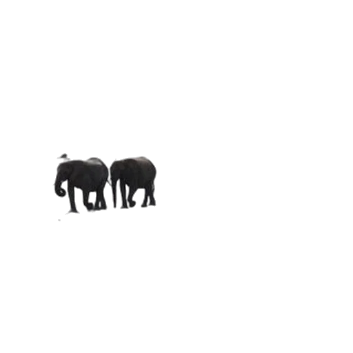 animal, creature, furniture, weapon transparent PNG cut-out