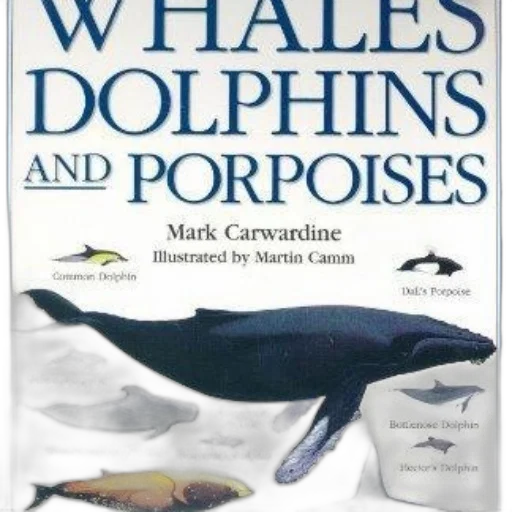 book, cover, titled, whales transparent PNG cut-out