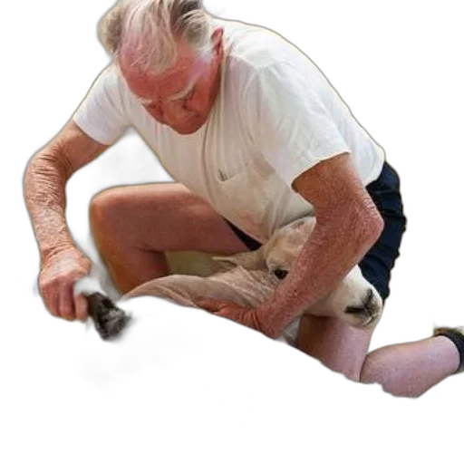 animal, staff, shoes, weapon transparent PNG cut-out