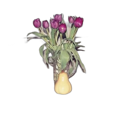 flower, crown, jewelry, food transparent PNG cut-out