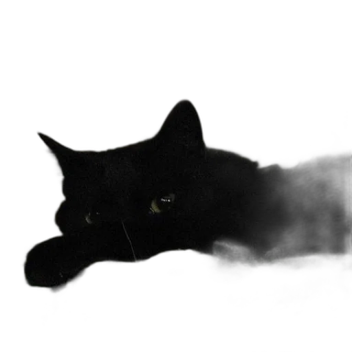 animal, creature, dragon, staff transparent PNG cut-out