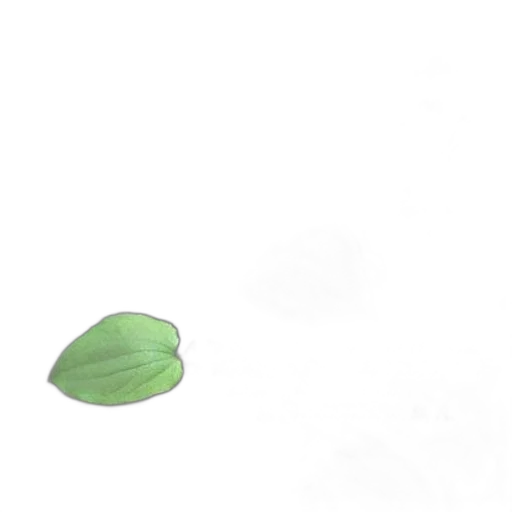 hat, food, flower, crown transparent PNG cut-out