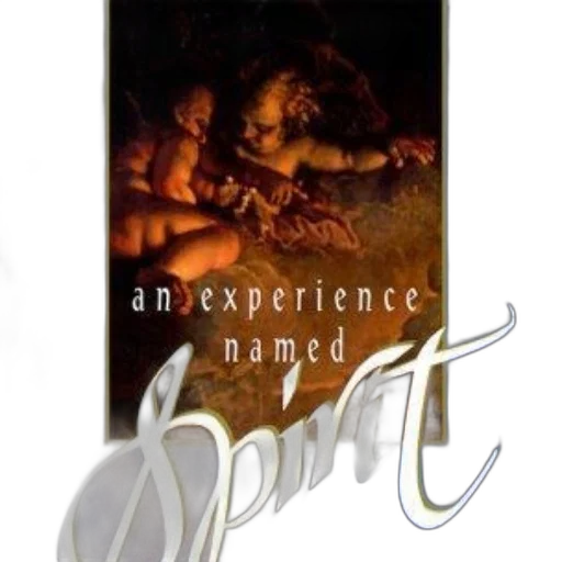 experience, named, spirit, poster transparent PNG cut-out