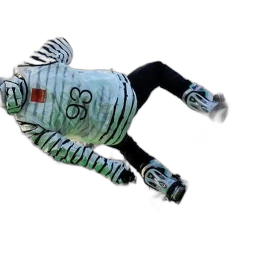 robot, creature, animal, jacket transparent PNG cut-out