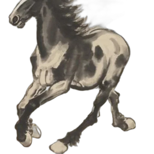 animal, staff, creature, hair transparent PNG cut-out