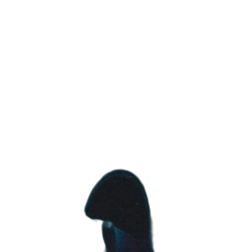 hat, shoes, mask, umbrella transparent PNG cut-out
