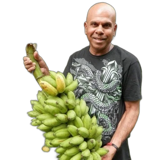 food, animal, staff, weapon transparent PNG cut-out