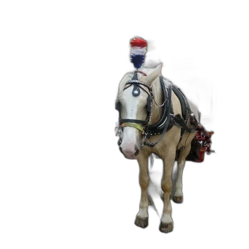 hat, staff, animal, crown transparent PNG cut-out