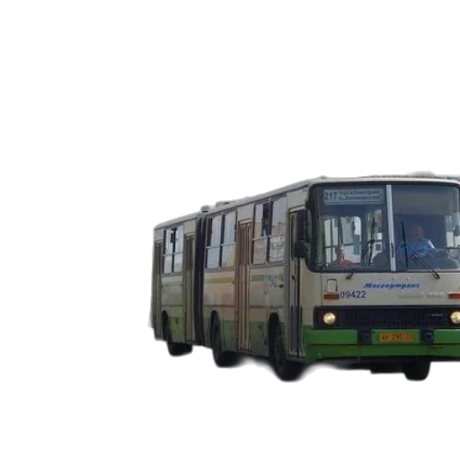 car, staff, animal, weapon transparent PNG cut-out