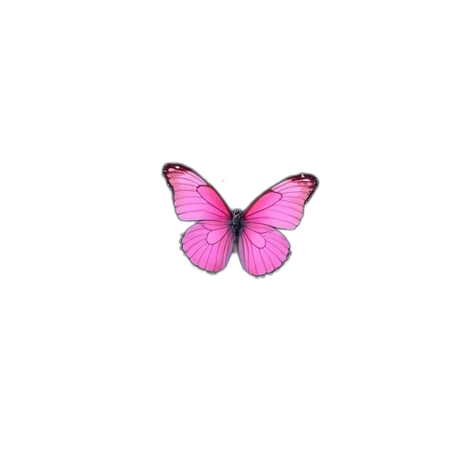 flower, animal, creature, jewelry transparent PNG cut-out