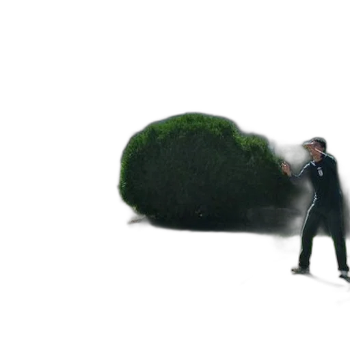 tree, staff, hair, 3d render transparent PNG cut-out
