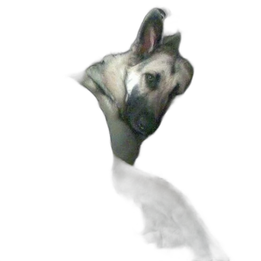 animal, creature, staff, dragon transparent PNG cut-out