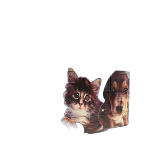 animal, furniture, jewelry, photorealistic transparent PNG cut-out
