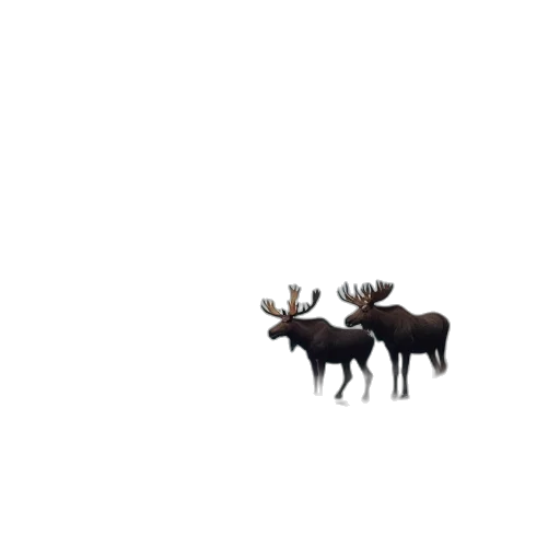 animal, crown, creature, furniture transparent PNG cut-out