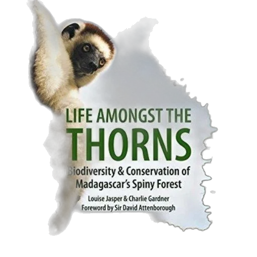 life, amongst, thorns, biodiversity transparent PNG cut-out