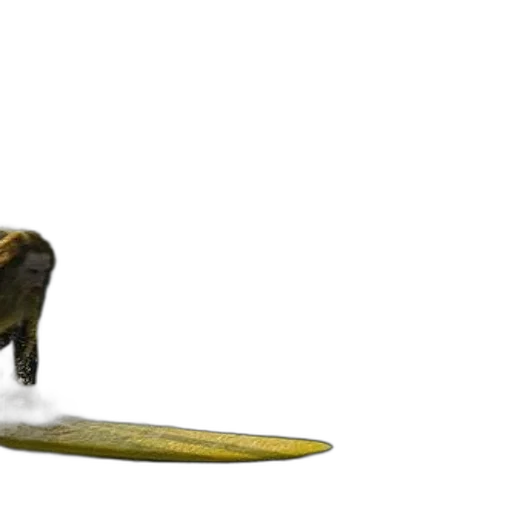 animal, staff, sword, creature transparent PNG cut-out