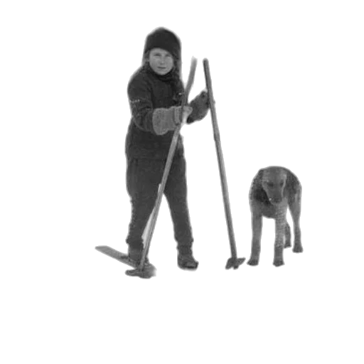 staff, animal, weapon, sword transparent PNG cut-out