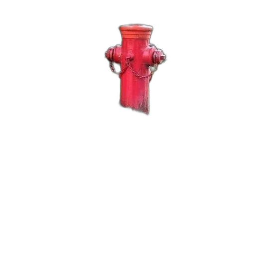 bottle, weapon, staff, flower transparent PNG cut-out