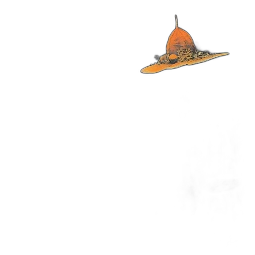 hat, umbrella, weapon, staff transparent PNG cut-out